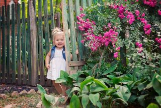 Creating a Pest-Free Outdoor Oasis: Effective Management Strategies